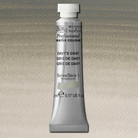 Professional water colour,  217 Davys Grey S1  5 ml
